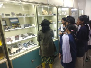 Museum2