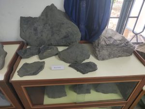 Museum6