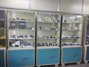 Museum7